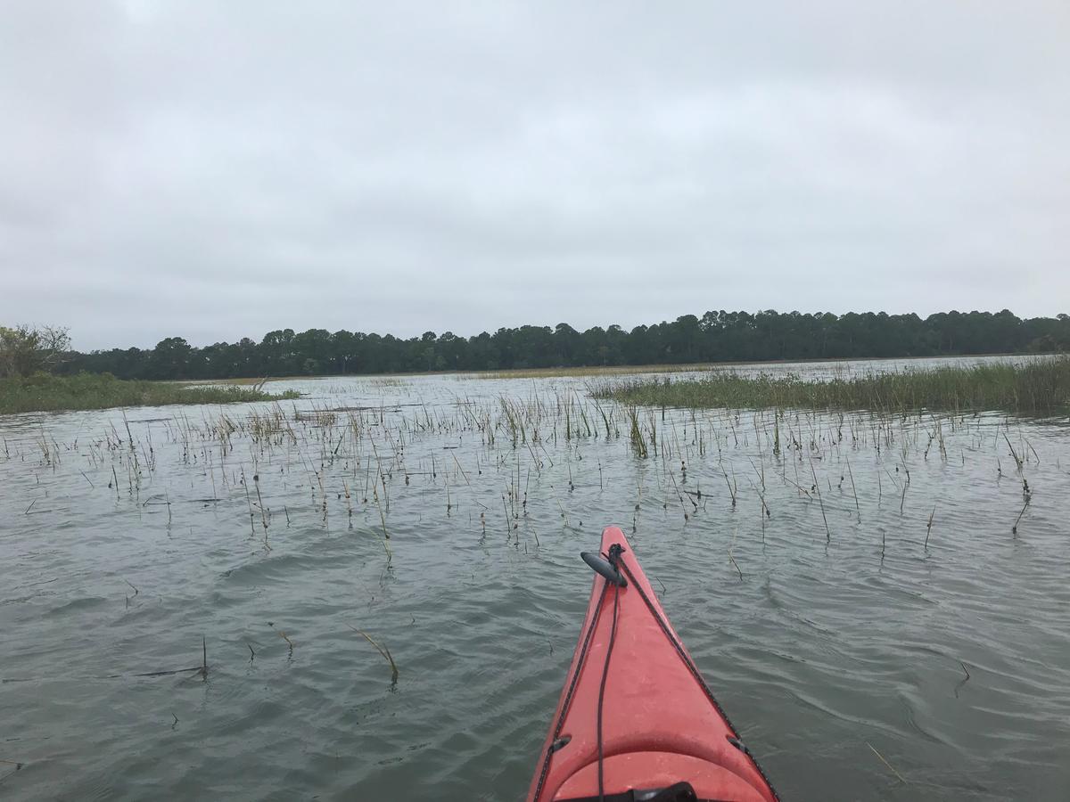 This is a picture of a kayak heading out for a paddle in Charleston, South Carolina